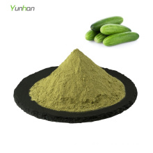 Bulk price organic natural cucumber powder